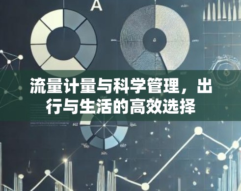 流量计量与科学管理,出行与生活的高效选择 流量计量与科学管理,出行与生活的高效选择