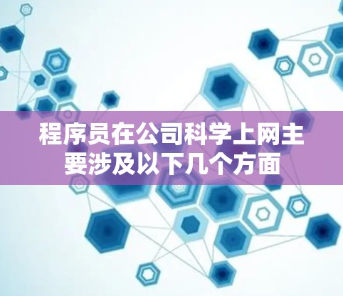 程序员在公司科学上网主要涉及以下几个方面 程序员在公司科学上网主要涉及以下几个方面