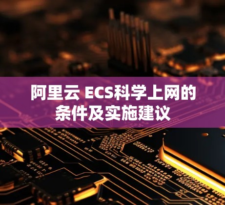 阿里云 ECS科学上网的条件及实施建议 阿里云 ECS科学上网的条件及实施建议