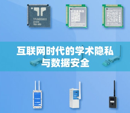 互联网时代的学术隐私与数据安全 互联网时代的学术隐私与数据安全