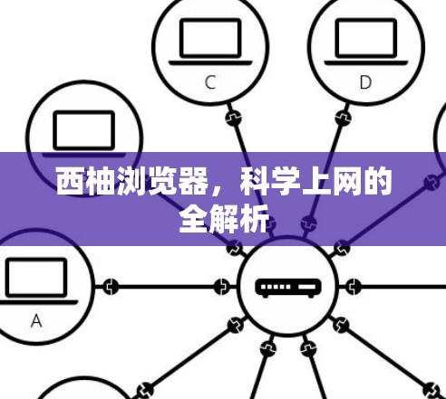 西柚浏览器,科学上网的全解析 西柚浏览器,科学上网的全解析