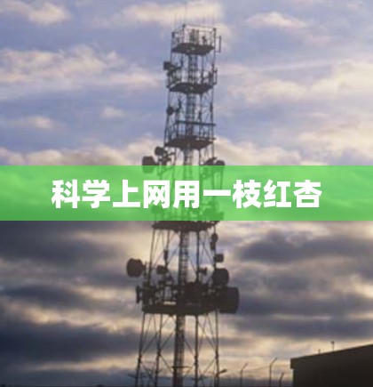 科学上网用一枝红杏 科学上网用一枝红杏