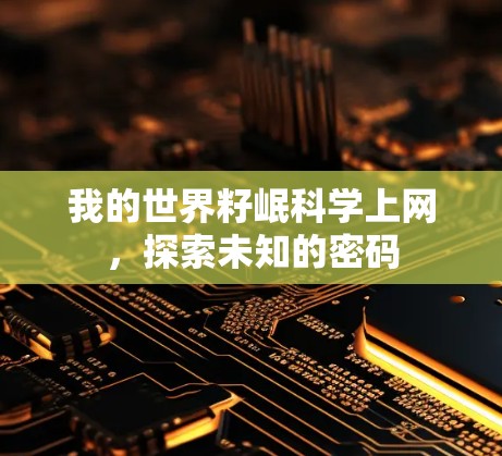 我的世界籽岷科学上网，探索未知的密码