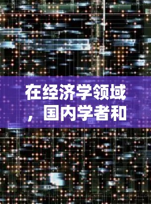 在经济学领域，国内学者和研究人员经常使用互联网来获取信息、进行研究和交流。以下是几个主要的国内学术资源和平台，供您参考