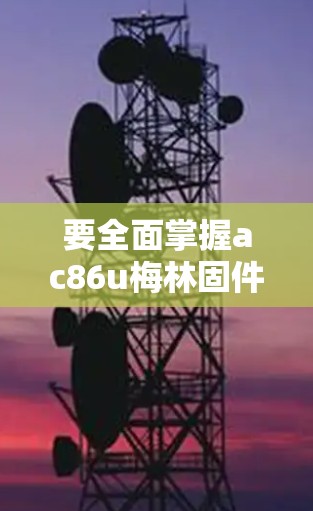 要全面掌握ac86u梅林固件科学上网项目，可以从以下几个步骤进行