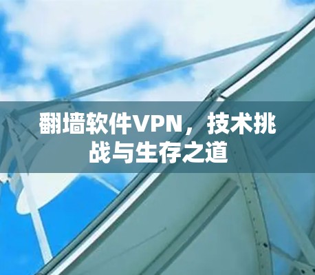 翻墙软件VPN,技术挑战与生存之道 翻墙软件VPN,技术挑战与生存之道