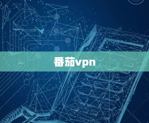 番茄vpn
