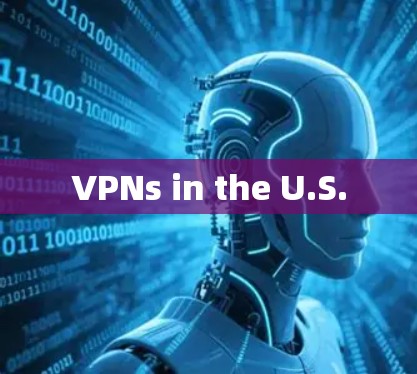 VPNs in the U.S. VPNs in the U.S.