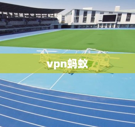 vpn蚂蚁 vpn蚂蚁