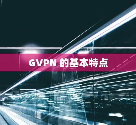 GVPN 的基本特点 GVPN 的基本特点