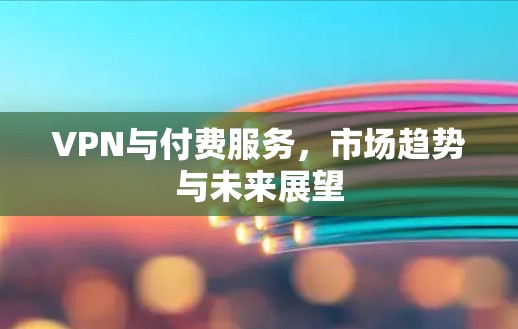 VPN与付费服务,市场趋势与未来展望 VPN与付费服务,市场趋势与未来展望