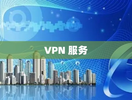 VPN 服务 VPN 服务