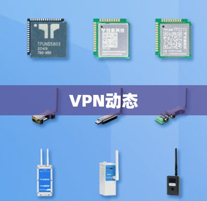 VPN动态