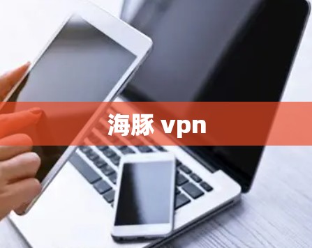 海豚 vpn
