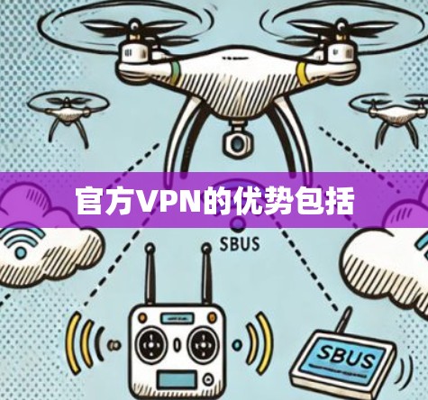 官方VPN的优势包括 官方VPN的优势包括