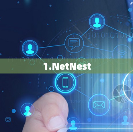 1.NetNest 1.NetNest