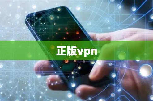 正版vpn 正版vpn
