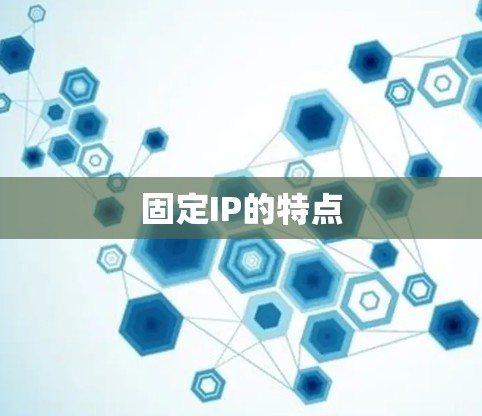 固定IP的特点