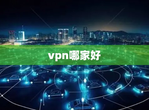 vpn哪家好 vpn哪家好