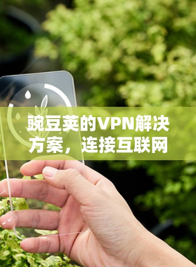 豌豆荚的VPN解决方案,连接互联网的便捷之路 豌豆荚的VPN解决方案,连接互联网的便捷之路