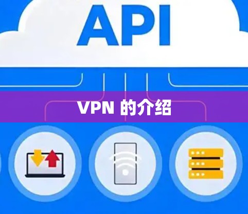 VPN 的介绍 VPN 的介绍