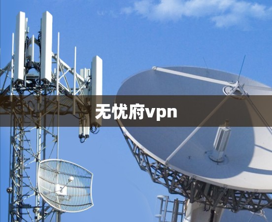 无忧府vpn