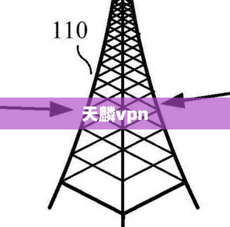 天麟vpn 天麟vpn