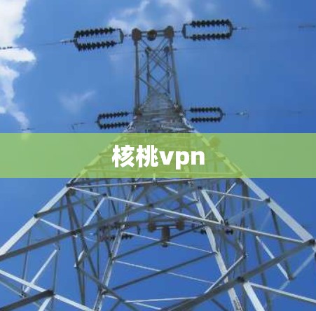 核桃vpn