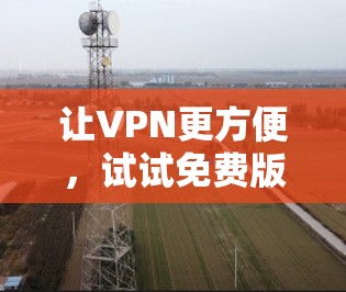 让VPN更方便，试试免费版吧！