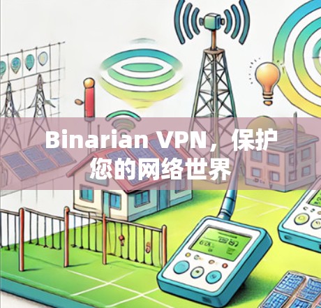 Binarian VPN，保护您的网络世界