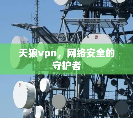天狼vpn,网络安全的守护者 天狼vpn,网络安全的守护者