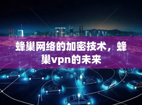 蜂巢网络的加密技术，蜂巢vpn的未来