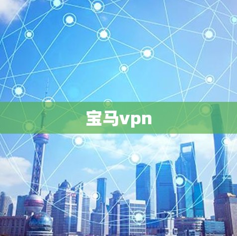 宝马vpn 宝马vpn