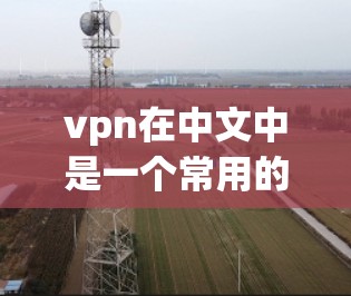 vpn在中文中是一个常用的词汇,通常用于以下几个不同的领域和情境中 vpn在中文中是一个常用的词汇,通常用于以下几个不同的领域和情境中