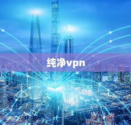 纯净vpn 纯净vpn