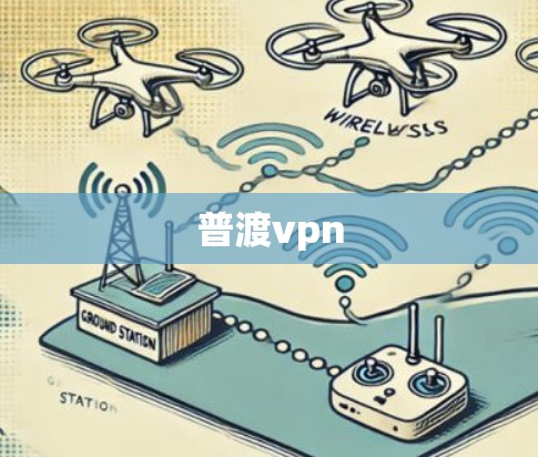 普渡vpn 普渡vpn