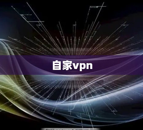 自家vpn 自家vpn