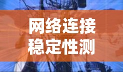 网络连接稳定性测试方案