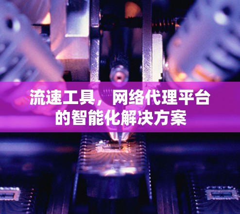 流速工具,网络代理平台的智能化解决方案 流速工具,网络代理平台的智能化解决方案