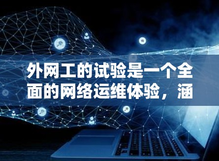 外网工的试验是一个全面的网络运维体验，涵盖了从环境配置到故障处理的各个方面。以下是一个详细且结构化的总结