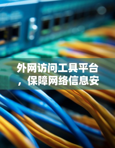 外网访问工具平台，保障网络信息安全的高效解决方案