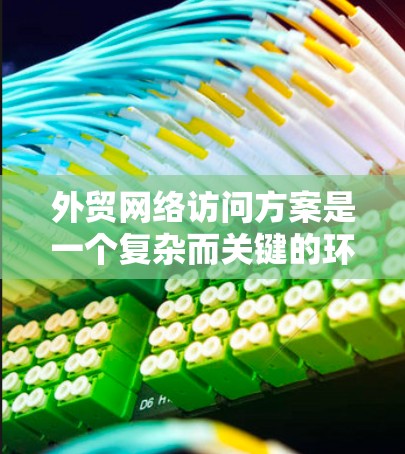 外贸网络访问方案是一个复杂而关键的环节，旨在确保在国际市场上顺利进行产品的销售和交易。以下是一个结构化的网络访问方案建议