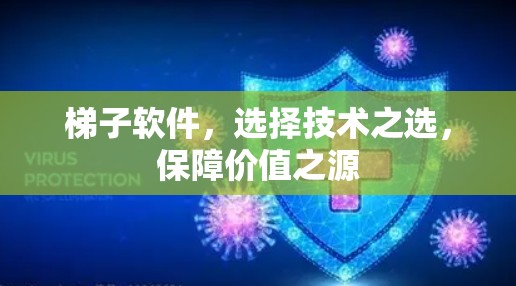 梯子软件,选择技术之选,保障价值之源 梯子软件,选择技术之选,保障价值之源