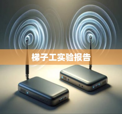梯子工实验报告 梯子工实验报告