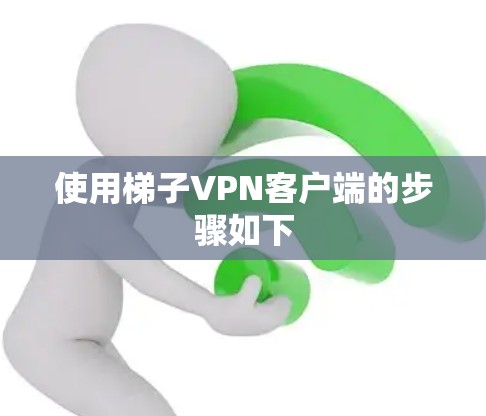 使用梯子VPN客户端的步骤如下 使用梯子VPN客户端的步骤如下