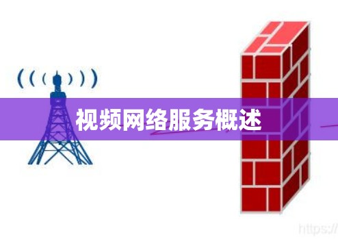视频网络服务概述 视频网络服务概述