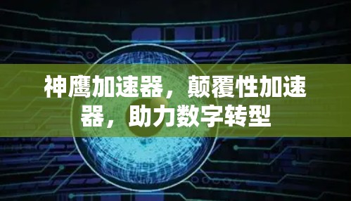 神鹰加速器，颠覆性加速器，助力数字转型