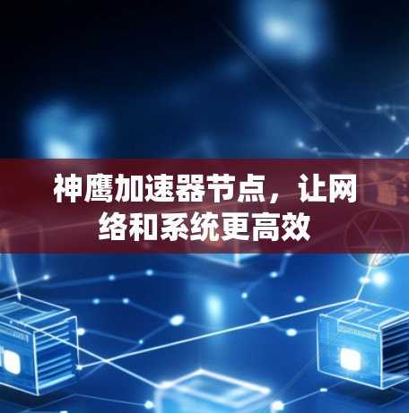 神鹰加速器节点，让网络和系统更高效