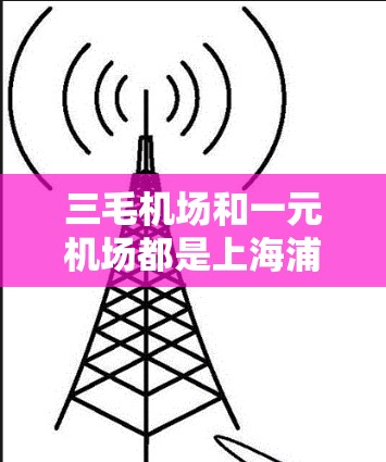 三毛机场和一元机场都是上海浦东新区的机场名称，但它们的含义和背景有所不同