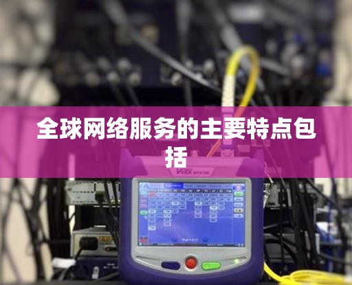 全球网络服务的主要特点包括